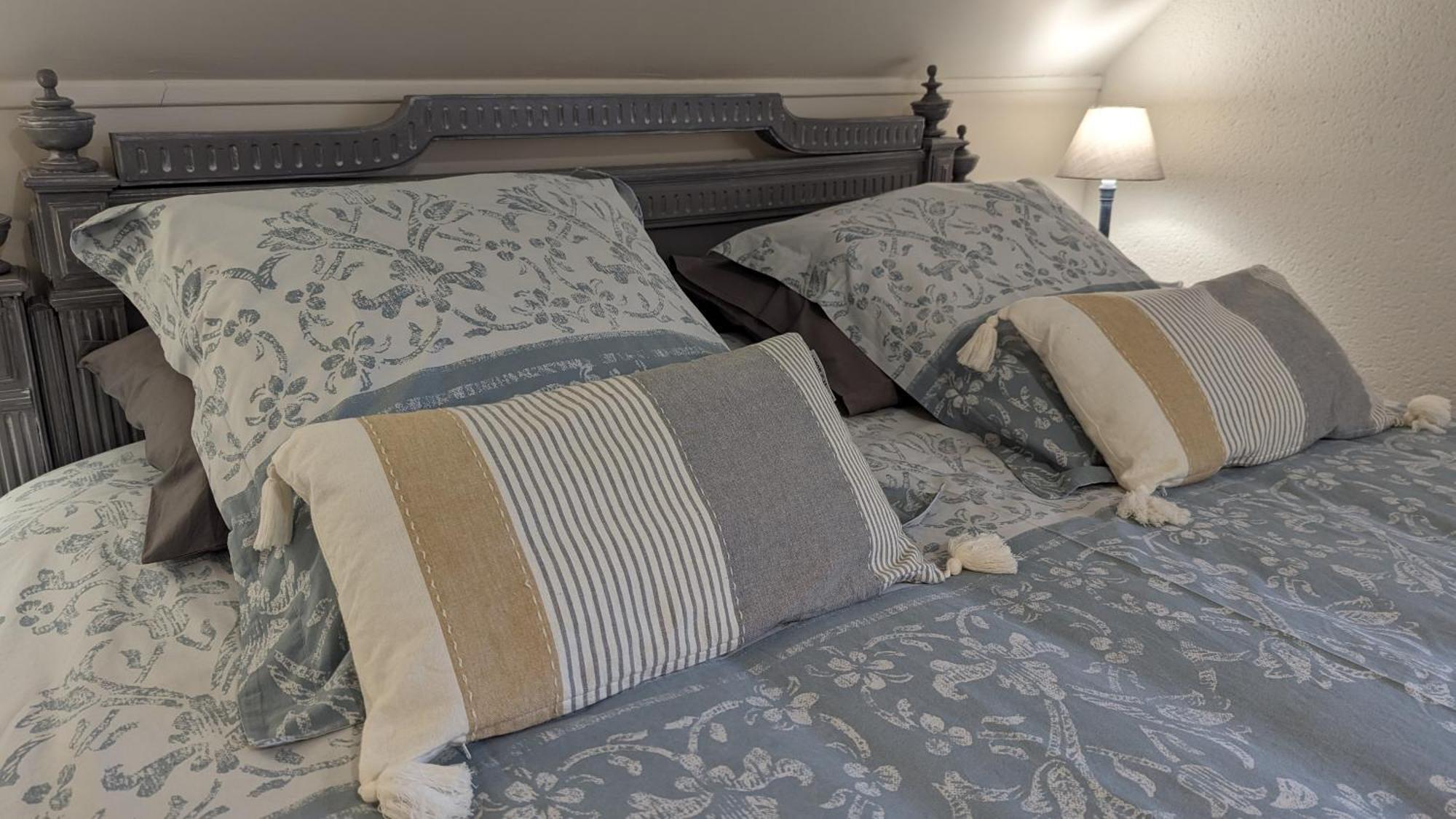 Au Bonheur De Cisse Bed & Breakfast Chouzy-sur-Cisse Exterior photo